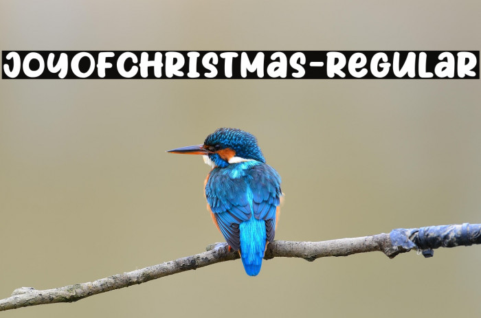 JoyOfChristmas-Regular Example 3