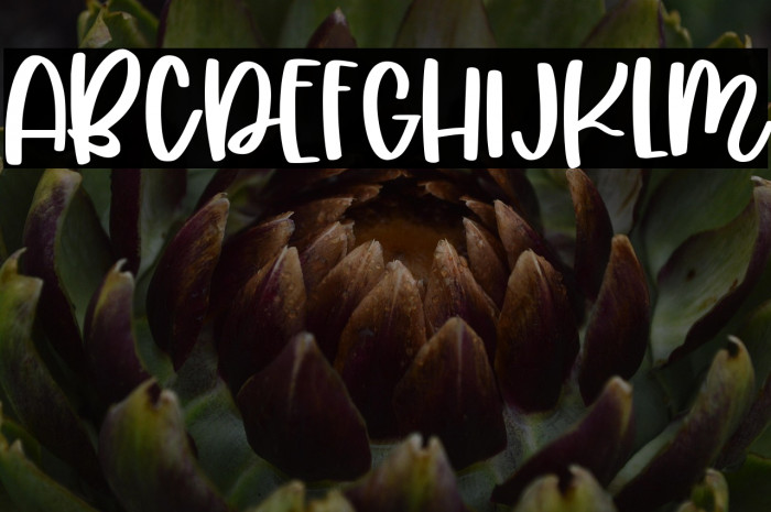 Joyce Kitchen Example 2