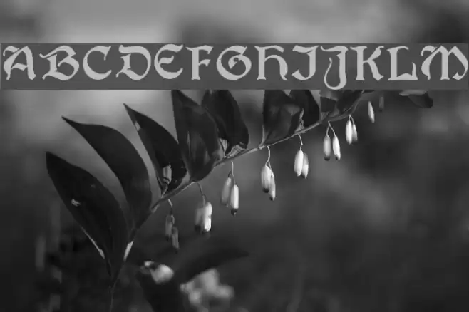 Joyeuse!` Font examples
