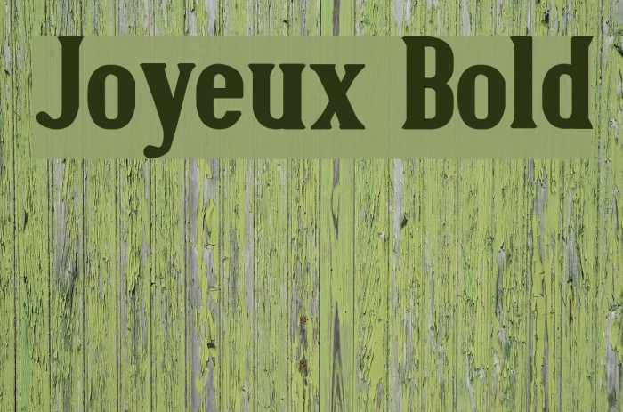 Joyeux Bold Font examples