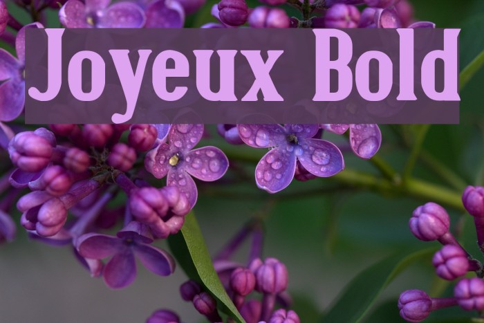 Joyeux Bold Font examples
