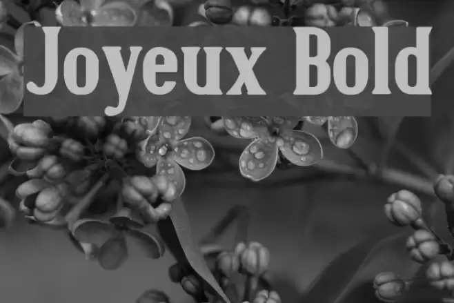 Joyeux Bold フォント examples