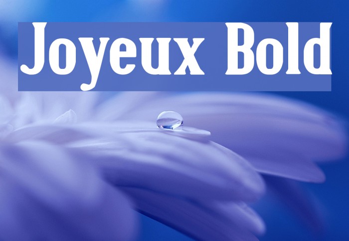 Joyeux Bold Font examples