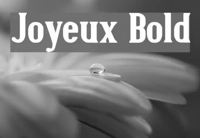 Joyeux Bold フォント examples