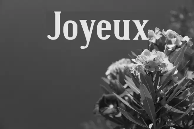 Joyeux Font examples