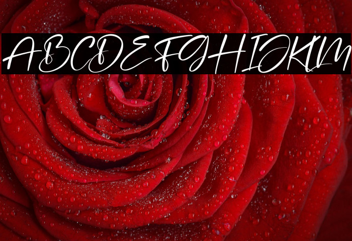 Joyfield Darling Italic Example 2