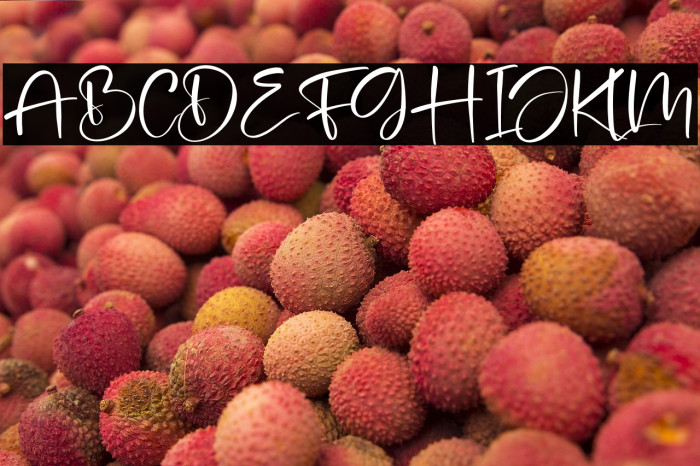 Joyfield Darling Example 2