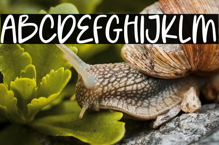 Joyful Unicorn Example 3