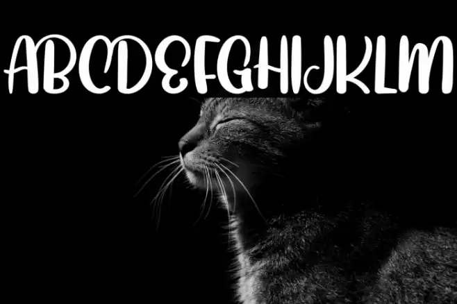 JoyfullyFREE Font examples