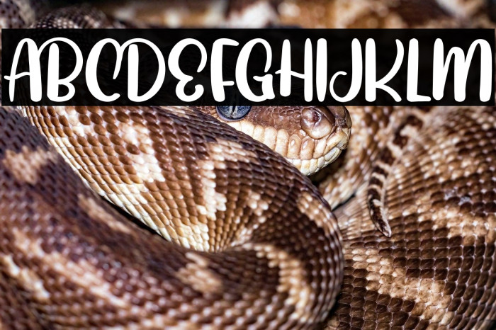 JoyfullyFREE Example 2