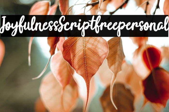 Joyfulness-Scriptfreepersonal Example 2