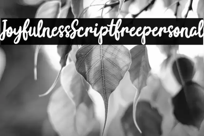 Joyfulness-Scriptfreepersonal Font examples