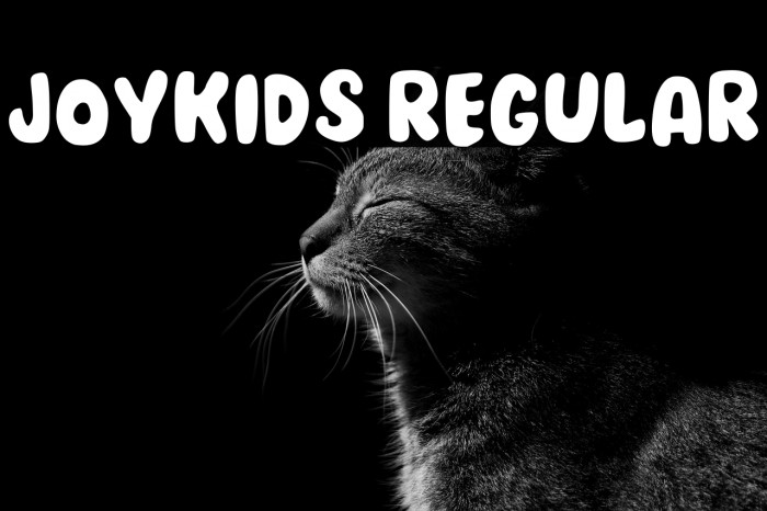 Joykids Regular Example 2