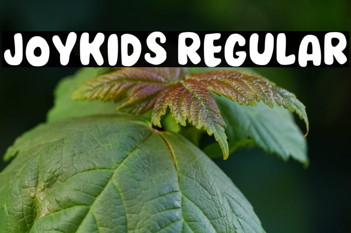 Joykids Regular Example 3
