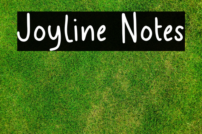 Joyline Notes Example 3