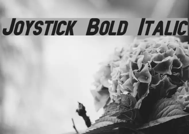 Joystick Bold Italic Font examples