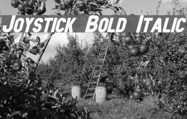 Joystick Bold Italic Font examples