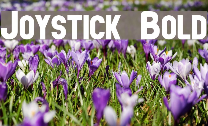 Joystick Bold Font examples
