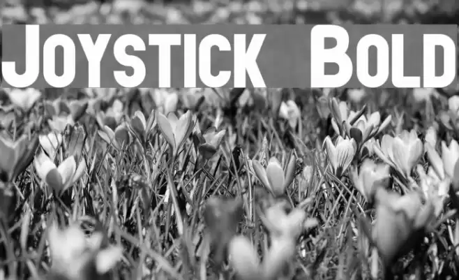 Joystick Bold フォント examples