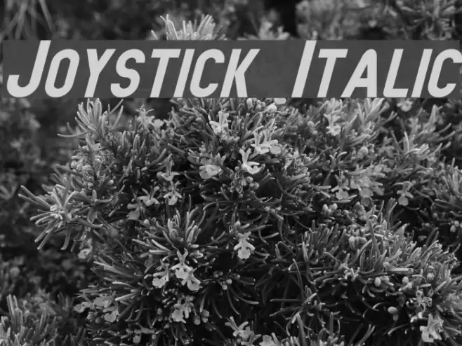 Joystick Italic Font examples