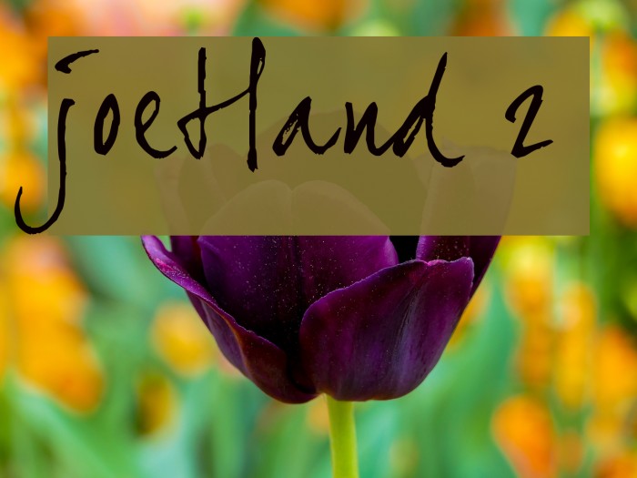 joeHand 2 Fonte examples