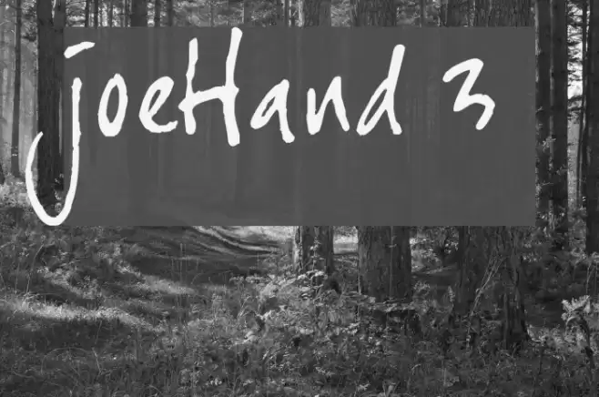joeHand 3 Шрифта examples