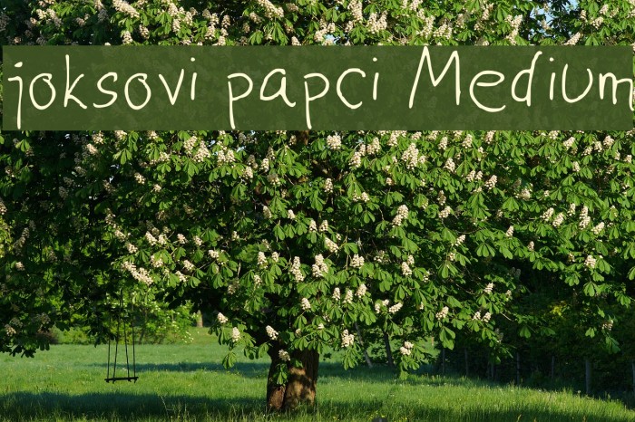 joksovi papci Medium Example 2