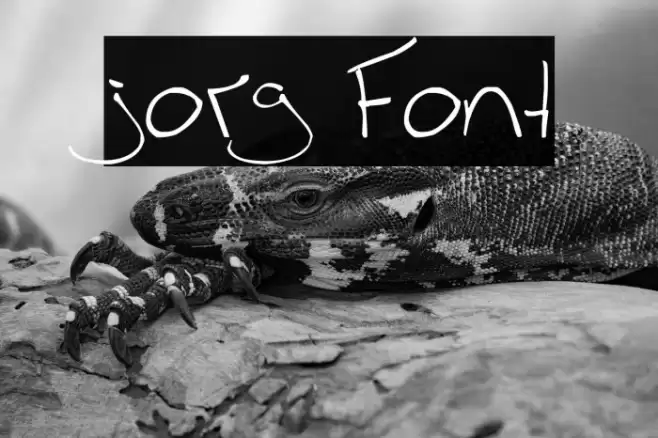 jorg Caratteri examples