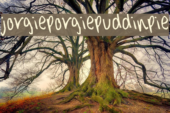 jorgieporgiepuddinpie Font examples