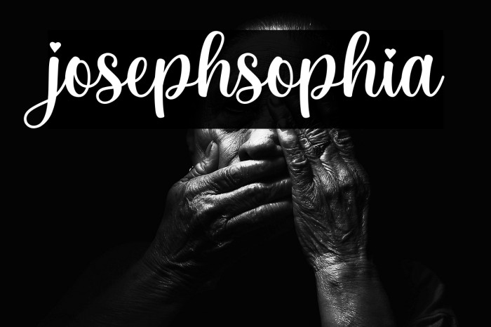 josephsophia Example 2