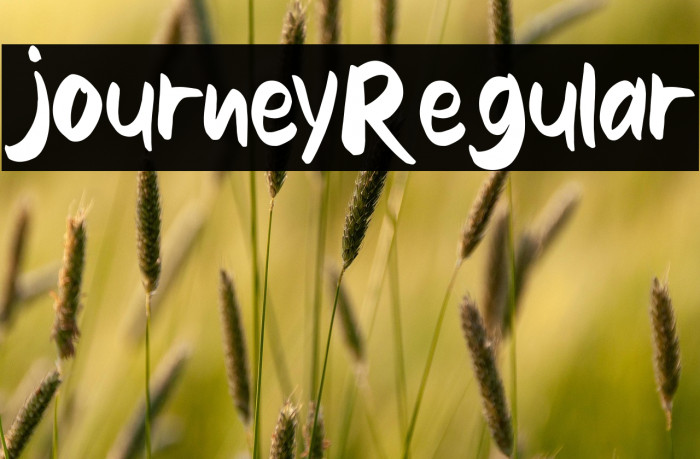 journey-Regular Example 2