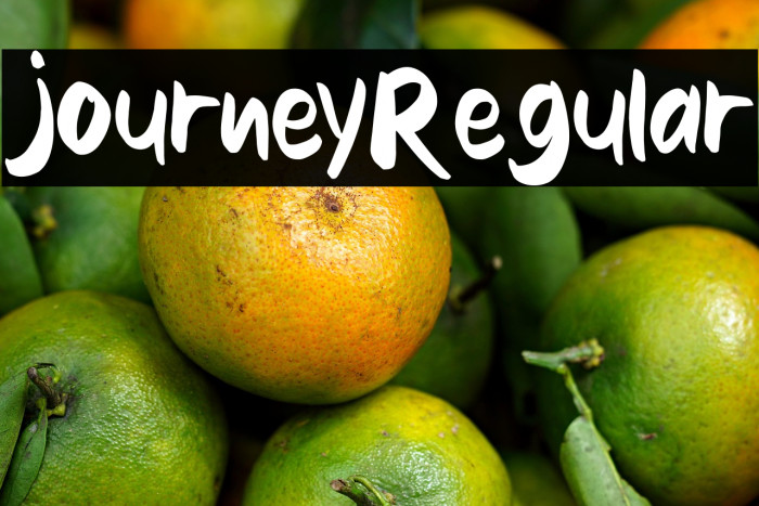 journey-Regular Example 3