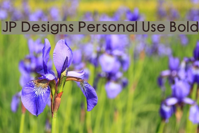 JP Designs Personal Use Bold Font examples