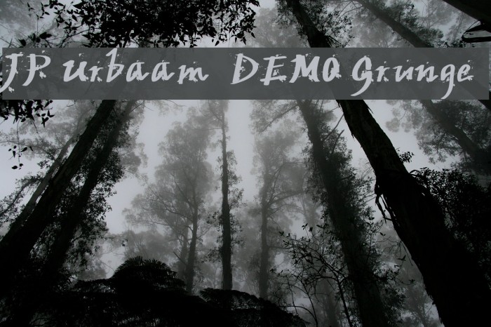 JP Urbaam DEMO Grunge Font examples