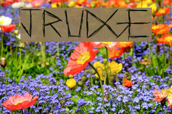 Jrudge Font examples
