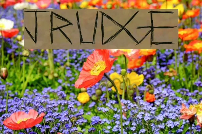 Jrudge Example 2