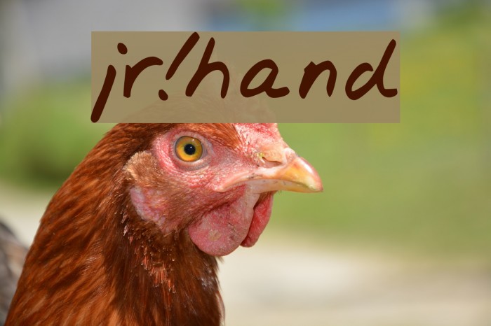 jr!hand Caratteri examples