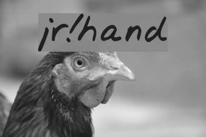 jr!hand Font examples