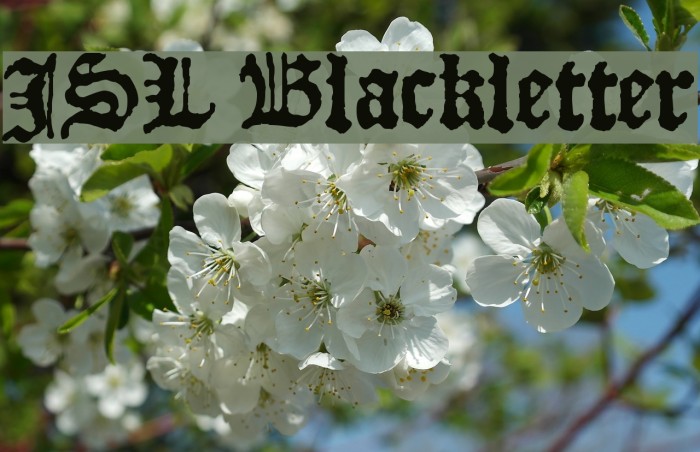 JSL Blackletter Font examples