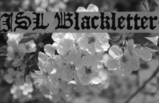 JSL Blackletter Schriftart examples