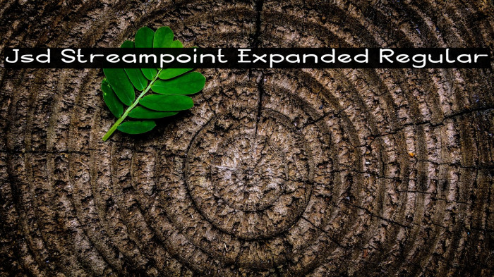 Jsd Streampoint Expanded Regular Example 1