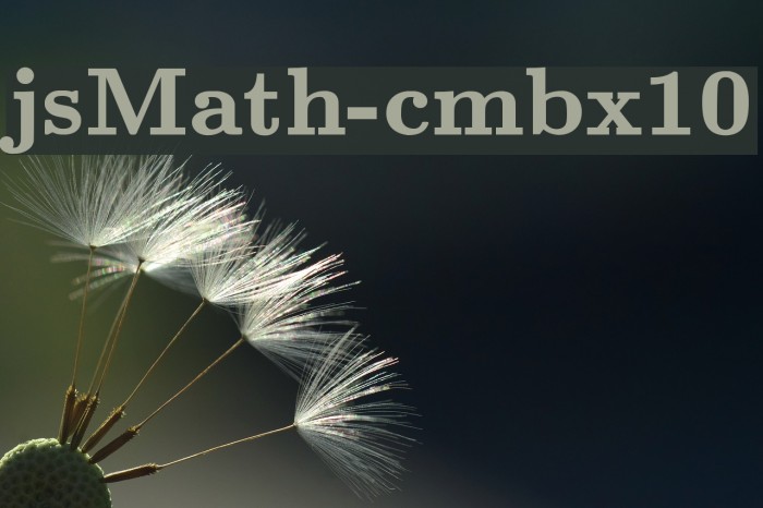 jsMath-cmbx10 Font examples