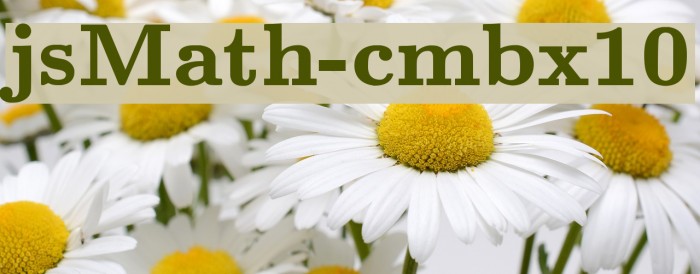 jsMath-cmbx10 Font examples