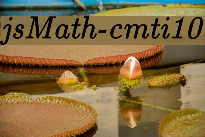 jsMath-cmti10 フォント examples