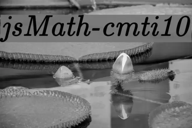 jsMath-cmti10 フォント examples