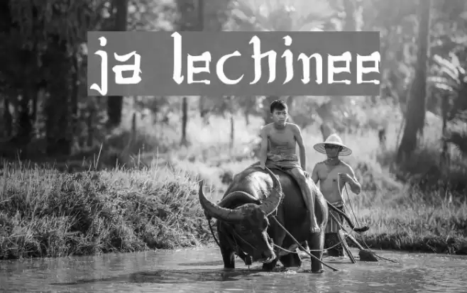 jsa lovechinese Font examples