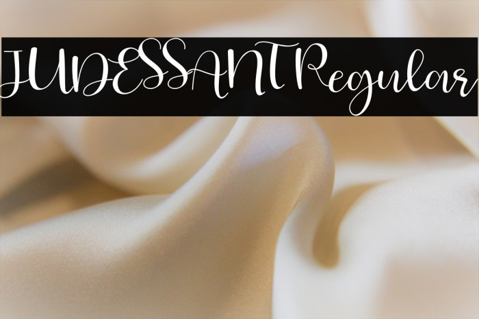 JUDESSANT Regular Example 1