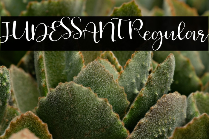 JUDESSANT Regular Example 2