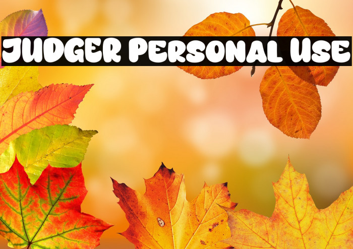 JUDGER Personal Use Example 1