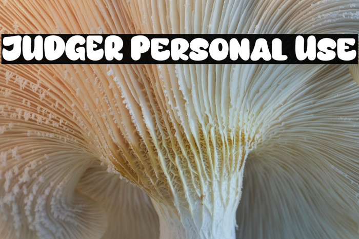 JUDGER Personal Use Example 2